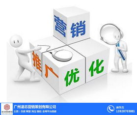 凌志營銷策劃 番禺區(qū)營銷型網(wǎng)頁建設(shè)與軟件開發(fā)，優(yōu)質(zhì)商家首選