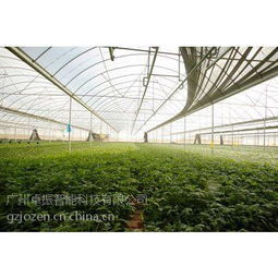 智慧農(nóng)業(yè)之選 卓振智能，大棚種植的領(lǐng)先解決方案
