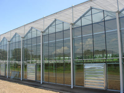 玻璃溫室建設(shè)